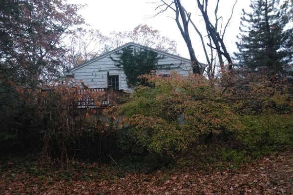 Blue Mist Hardscape construction, repair and renovation company