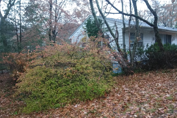 Blue Mist Hardscape construction, repair and renovation company